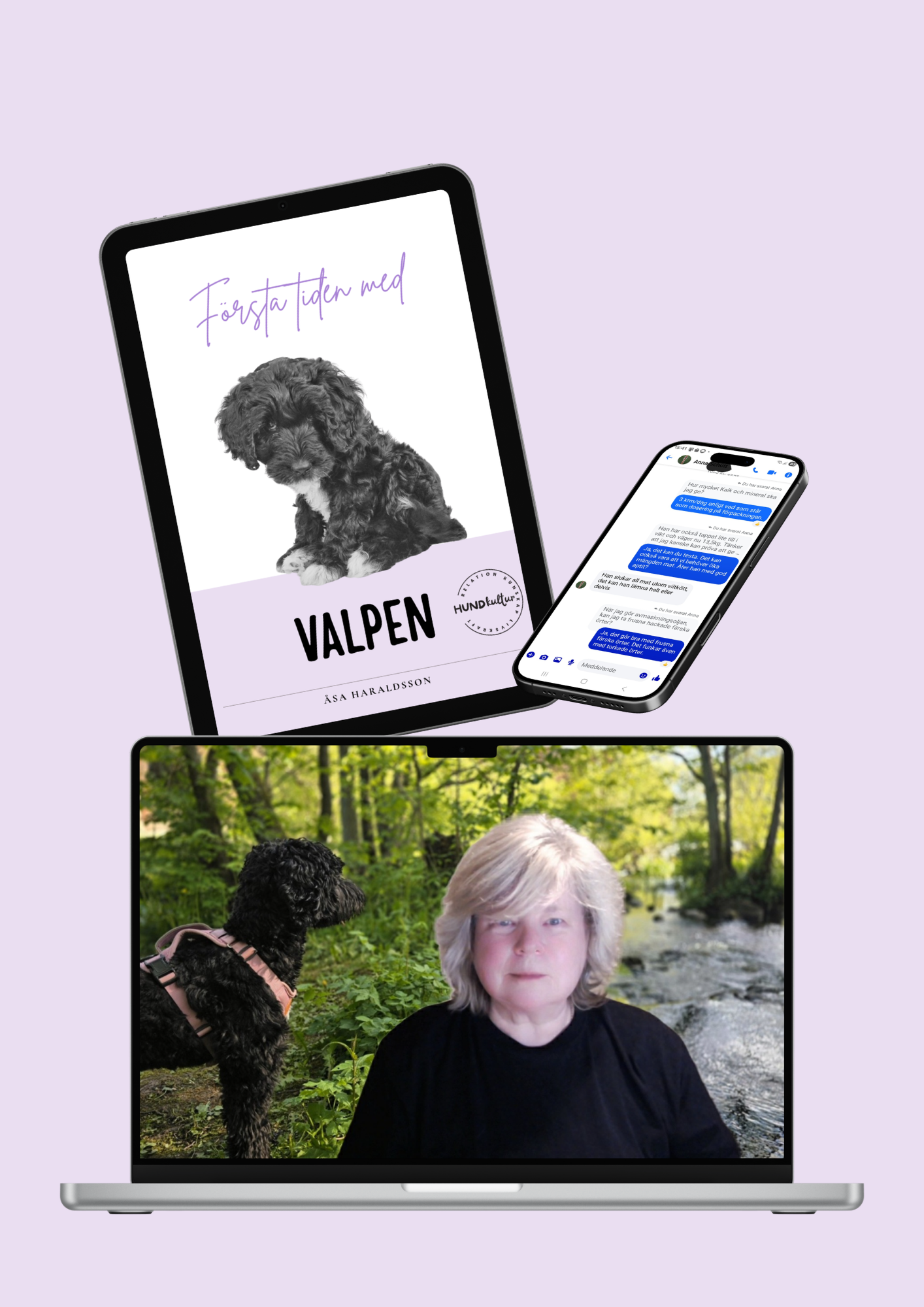 valp, valpkurs, minikurs, valpcoach, valpsamtal, support