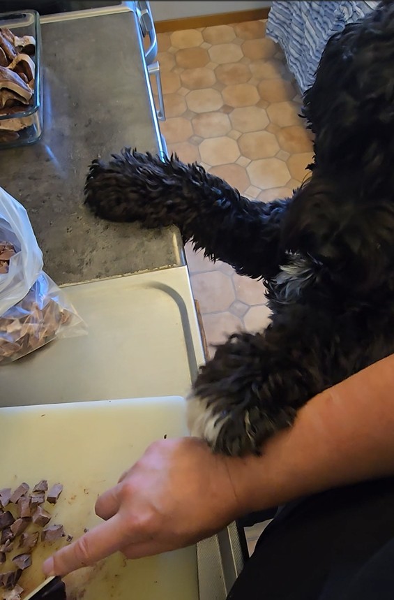 göra eget hundgodis, laga eget hundgodis, favoritgodis,  hundgodis